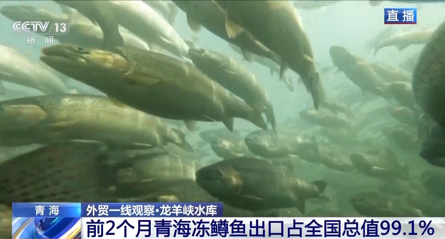 基础稳、活力足、动能强 三个关键词读懂我国一季度外贸成绩单