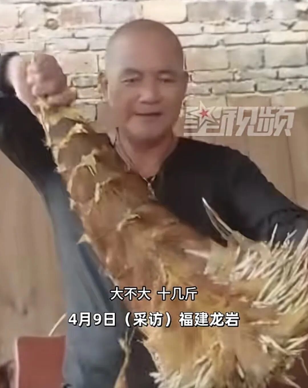 真·笋到家了!水泥地被顶破了,挖开一看,全是竹笋… 真·笋到家了!水泥地被顶破了,挖开一看,全是竹笋…