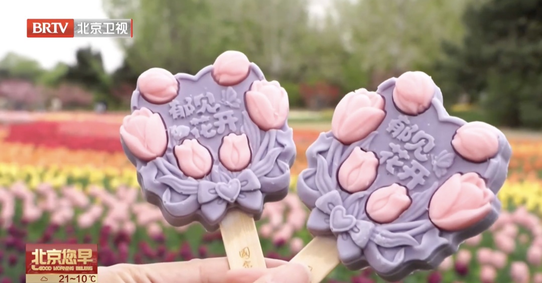 持续至五月上旬!北京郁金香赏花“天花板”就在—— 持续至五月上旬!北京郁金香赏花“天花板”就在——