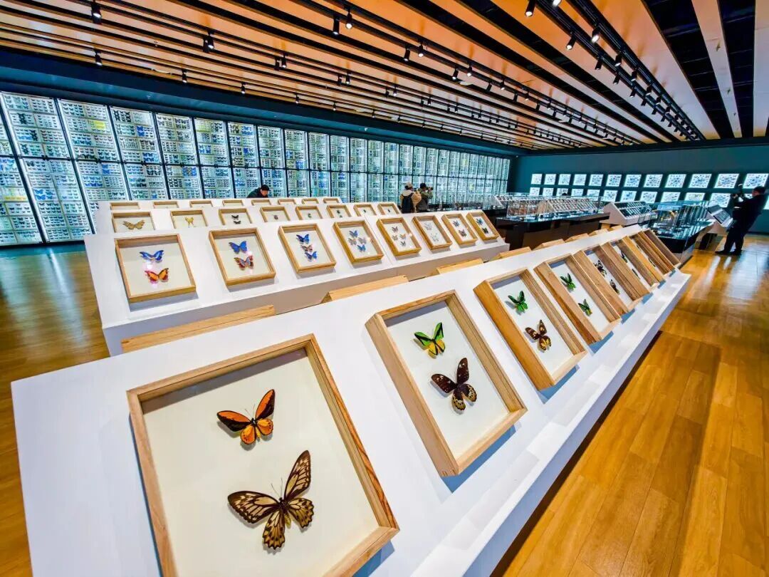 北京新开一座博物馆！孩子真的会喜欢