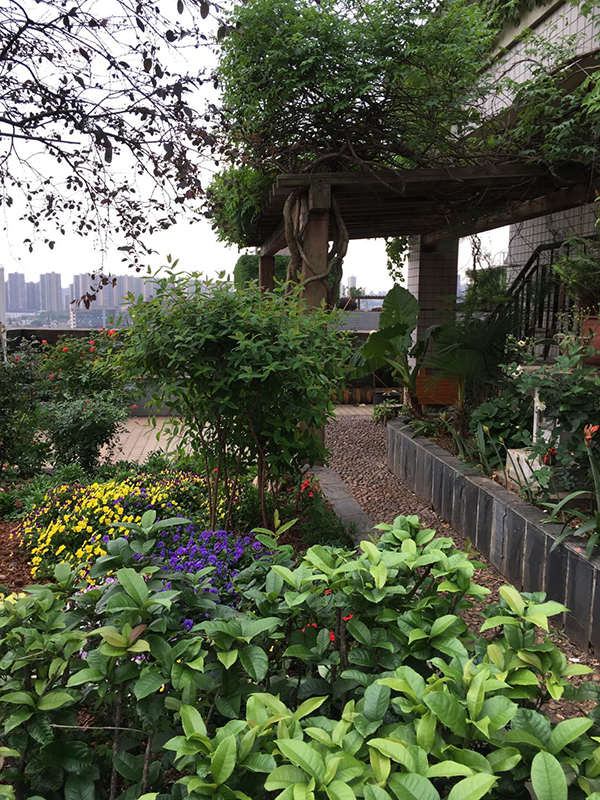 对话国际安徒生奖得主蔡皋：无论年龄，一定要保护自己的心