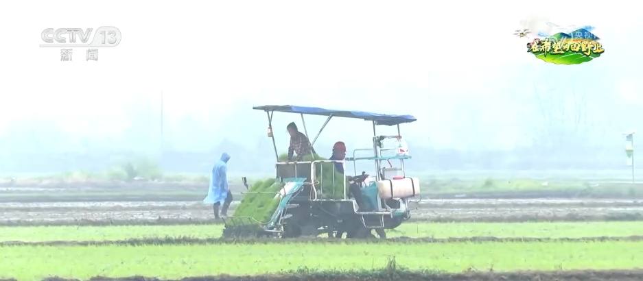 “智慧农机+良种良法”盐碱地长成“希望田” 春管夯实夏粮丰收基础