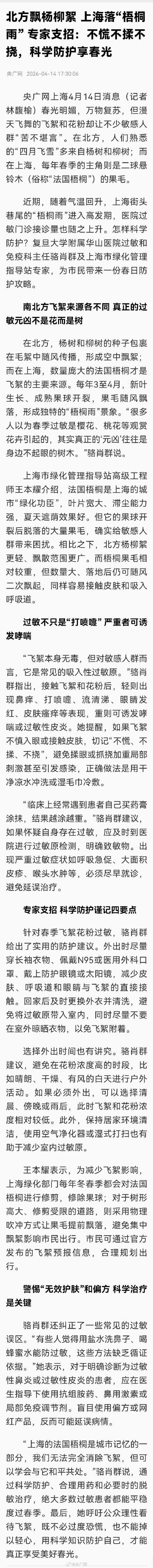 真正的过敏元凶不是花是树