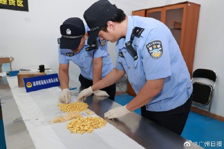 海关破获案值7800万走私黄金出境案