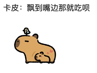 “水豚情绪稳定吃杨絮” 上热搜！网友操碎了心...