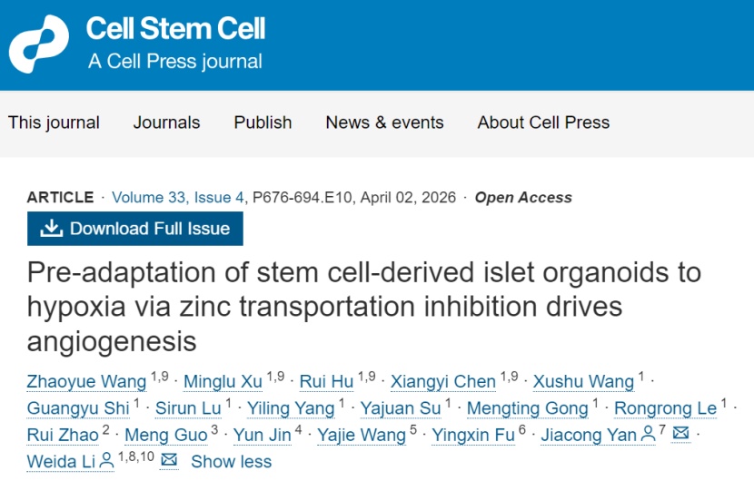 我国科学家攻克糖尿病细胞治疗三大挑战
