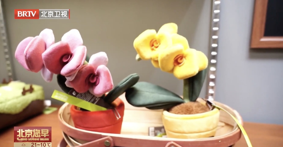 持续至五月上旬!北京郁金香赏花“天花板”就在—— 持续至五月上旬!北京郁金香赏花“天花板”就在——