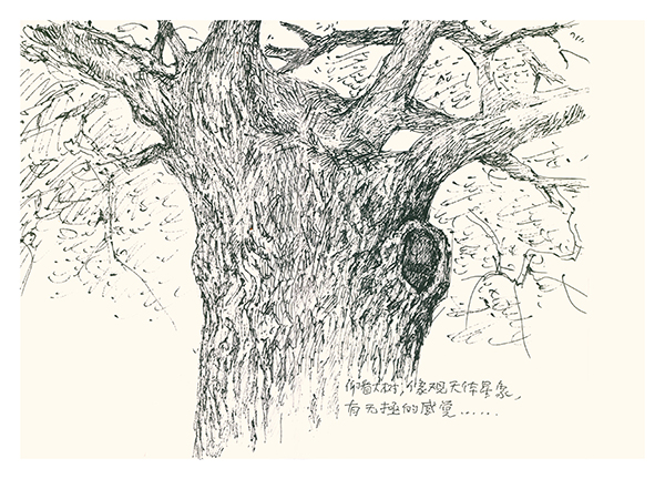 对话国际安徒生奖得主蔡皋：无论年龄，一定要保护自己的心