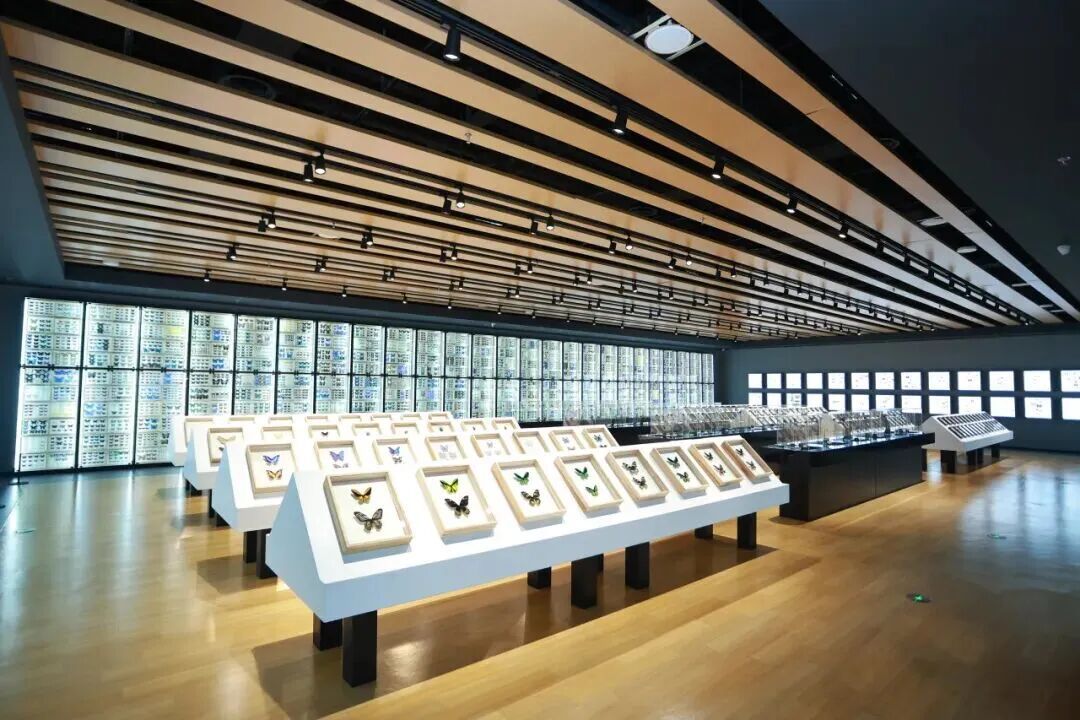 北京新开一座博物馆！孩子真的会喜欢