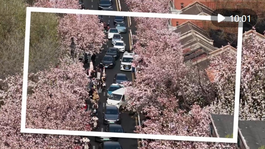 “春日经济”激活文旅消费新活力 “春日经济”激活文旅消费新活力