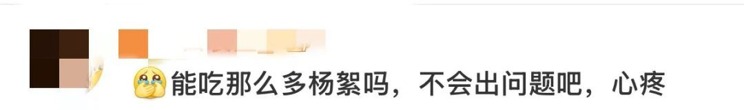 “水豚情绪稳定吃杨絮” 上热搜！网友操碎了心...