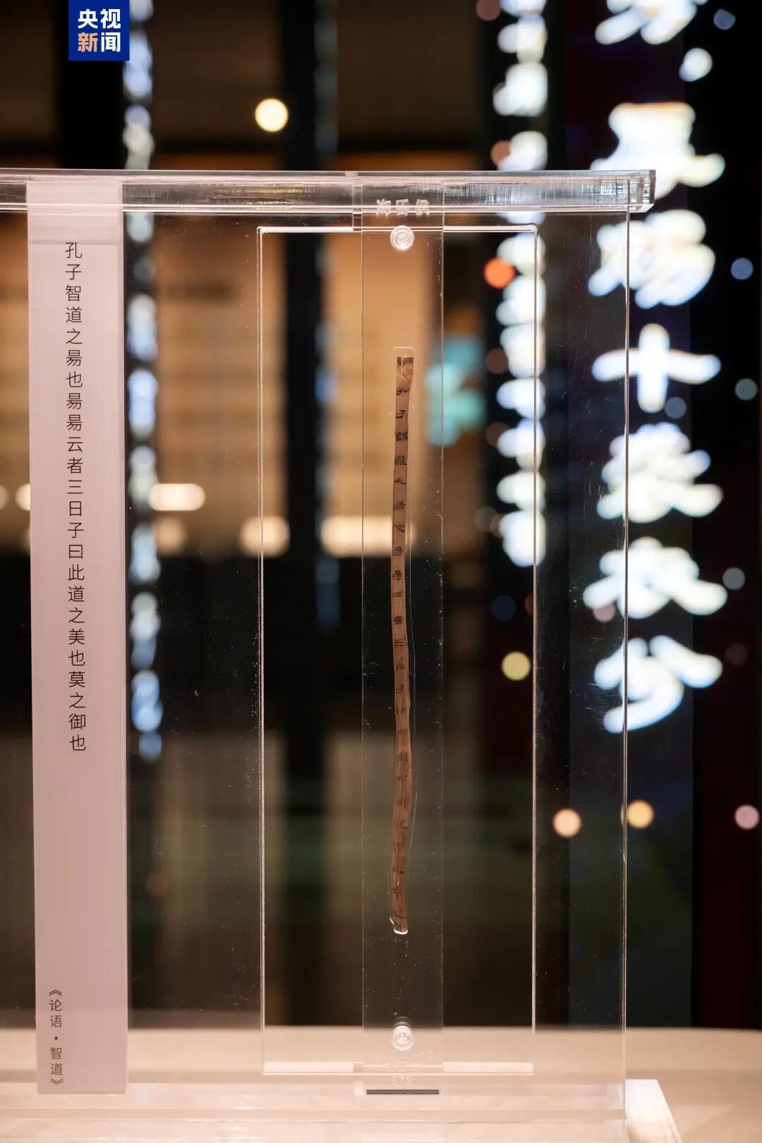 南昌海昏侯墓中两千年的“顶流”书单亮相：齐《论语》《诗经》等首度同台