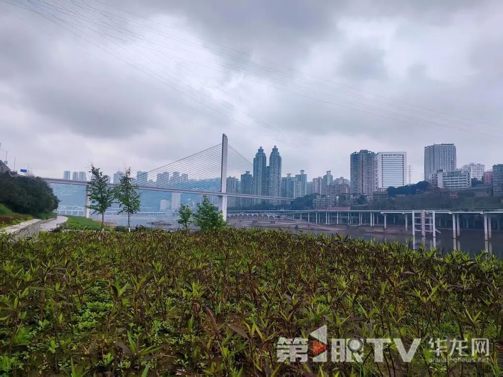 重庆未来两天降雨频繁,气温将回升至30℃ 重庆未来两天降雨频繁,气温将回升至30℃