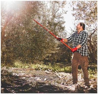 农产品如何带强大产业？看看这三国的特色农业链条