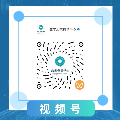 飞絮又来糊脸了，杨柳树为什么不能“一砍了之”？