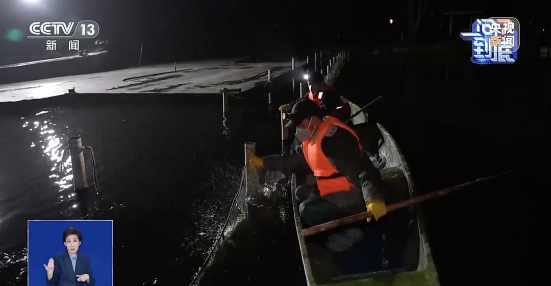 “西湖撒了数吨漂白粉”，会不会影响生态？