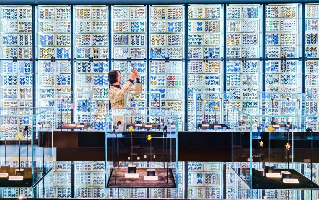 北京新开一座博物馆！孩子真的会喜欢