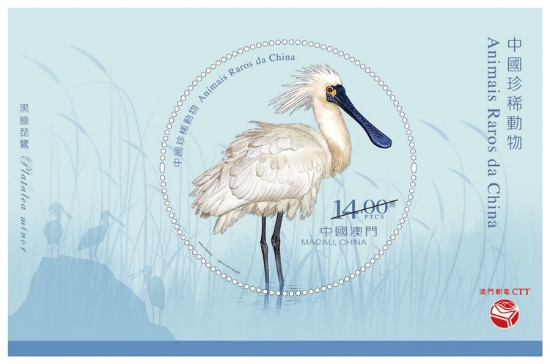 澳门邮票“黑脸琵鹭”斩获国际殊荣