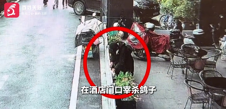 男子街头持刀划车,宰杀鸽子洒血涂抹车身!警方:已立案调查 男子街头持刀划车,宰杀鸽子洒血涂抹车身!警方:已立案调查