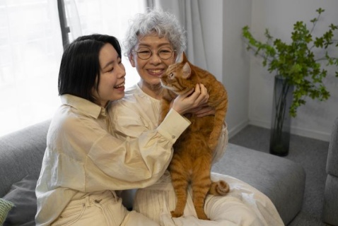 知享工坊｜猫狗治愈你，靠的不只是可爱
