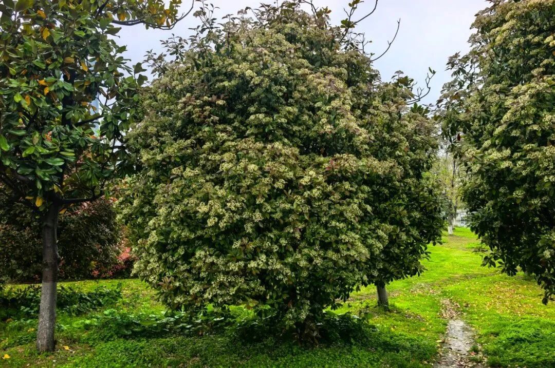 广东宣布:全省入夏!新一轮暴雨大风又要来了,未来深圳天气…… 广东宣布:全省入夏!新一轮暴雨大风又要来了,未来深圳天气……