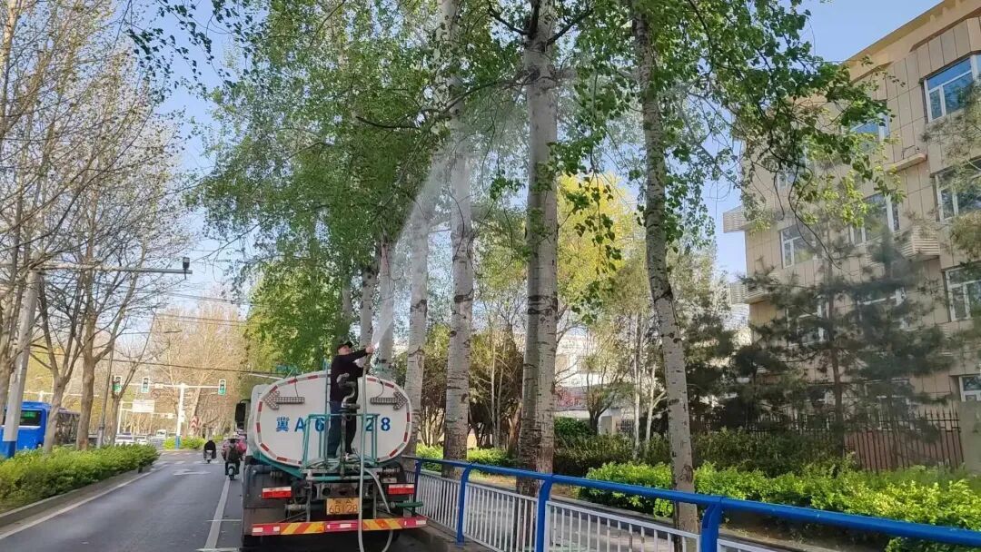 石家庄飞絮少了?原来是放大招了! 石家庄飞絮少了?原来是放大招了!