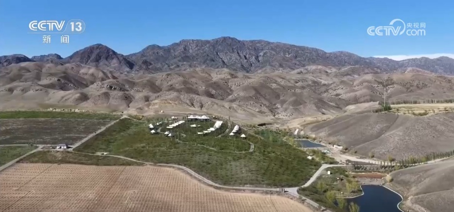 荒山“点绿成金”带动产业兴旺 “生态+”多元融合激活乡村振兴新动能