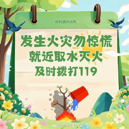 春日踏青安全指南