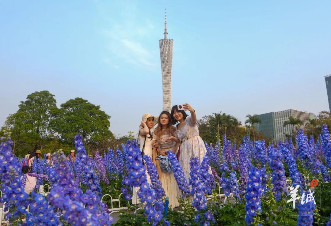 广东官宣：全省入夏！有些地方较常年提早超1个月