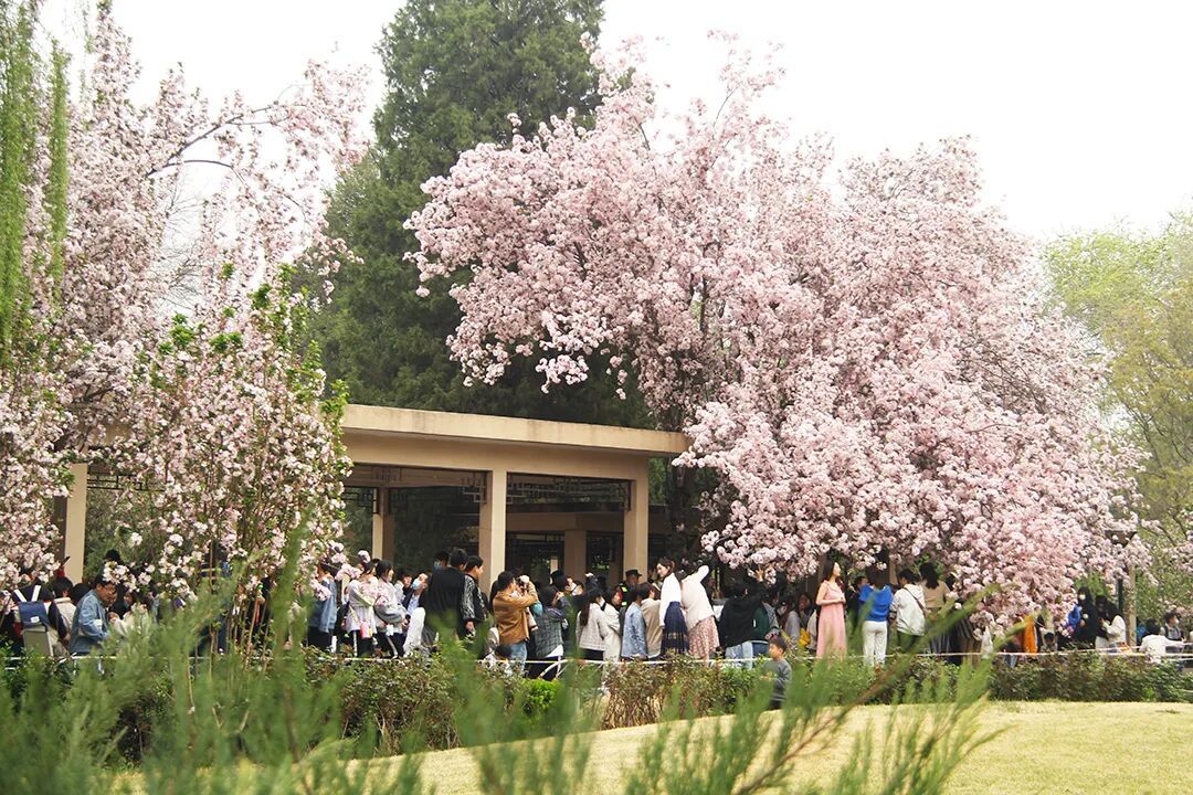 春季过敏，这些用药的坑千万别踩