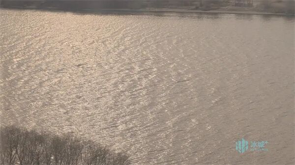 春风送暖，松花江现“倒流”奇观