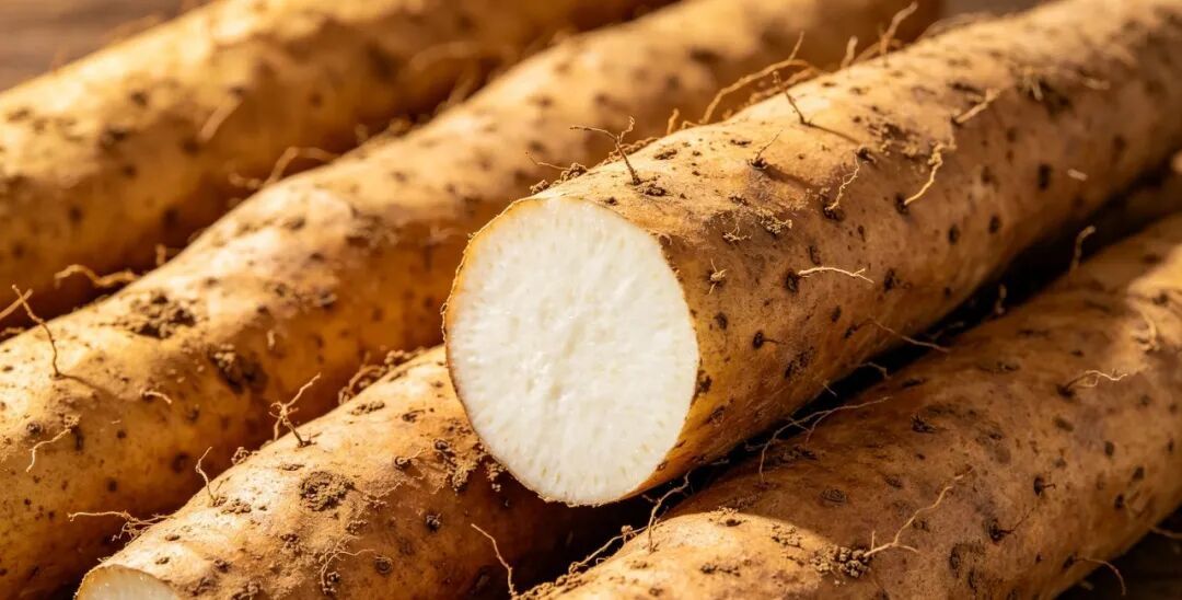 不想大脑提前 “老化”?警惕这 4 个信号 不想大脑提前 “老化”?警惕这 4 个信号