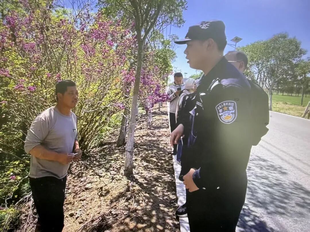 两头水牛“跨省漫游”40公里，在上海“笃悠悠”逛马路，路堵了……