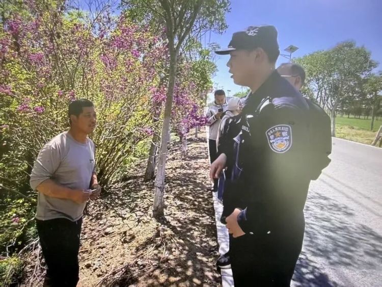 离家出走40公里,两头牛在上海“笃悠悠”逛马路,直接堵车了 离家出走40公里,两头牛在上海“笃悠悠”逛马路,直接堵车了