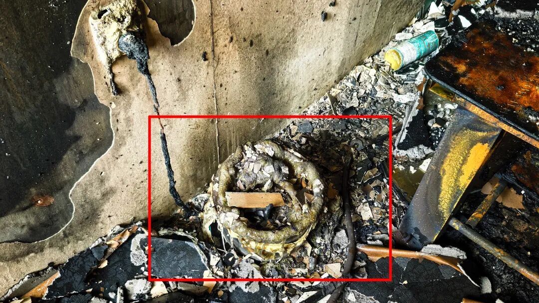 理疗店突发火情，竟是它在偷偷闯祸！