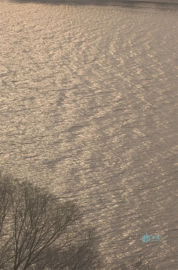 春风送暖，松花江现“倒流”奇观