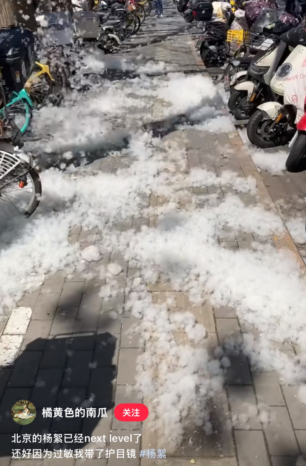 又到一年飘絮盛飞期！春季过敏如何防护？