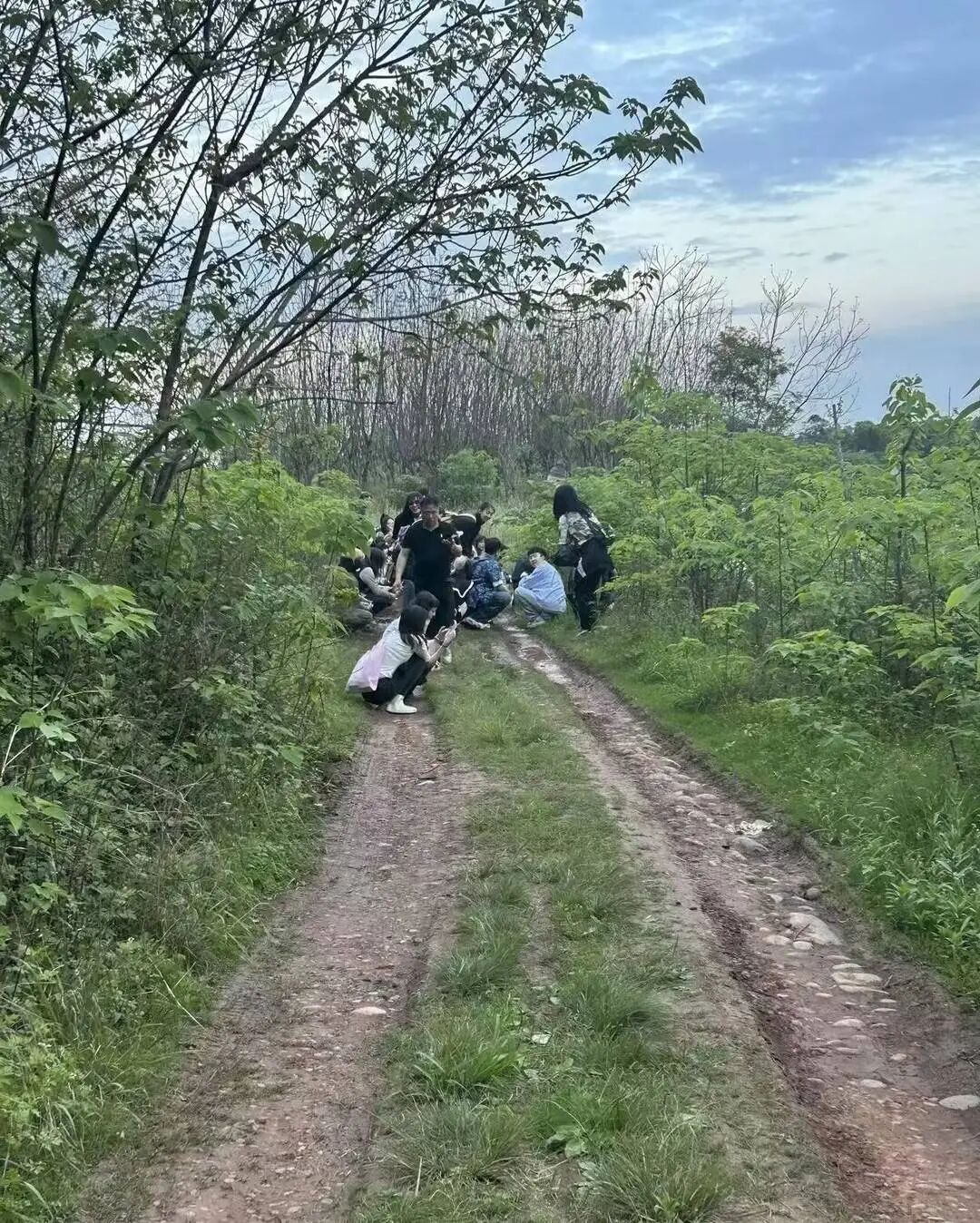 带路费250元！网友吐槽“黄牛”带人蹚水逃票硬闯音乐节，律师回应：“黄牛”涉嫌违法