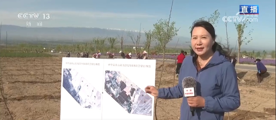 荒山“点绿成金”带动产业兴旺 “生态+”多元融合激活乡村振兴新动能