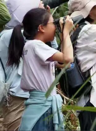 广州一小学生在海珠湿地参加观鸟比赛,结束后发现鸟类新成员,种类数量增至207种 广州一小学生在海珠湿地参加观鸟比赛,结束后发现鸟类新成员,种类数量增至207种