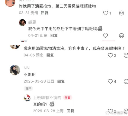 滴露回应使用宠物消毒液后5只幼猫死亡：无法确认因果关系