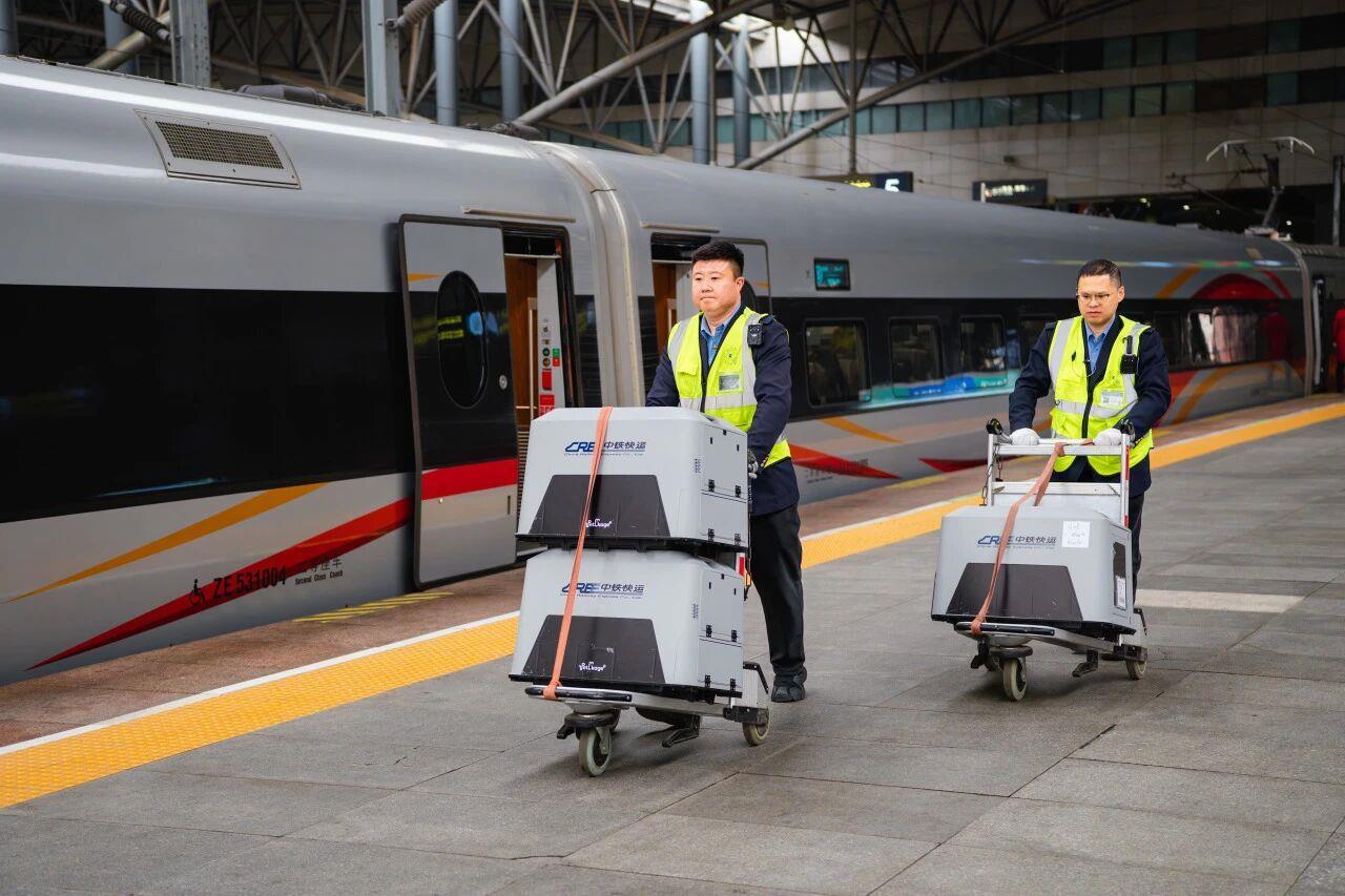 宠物能独自“坐”高铁吗？官方讲解来了！