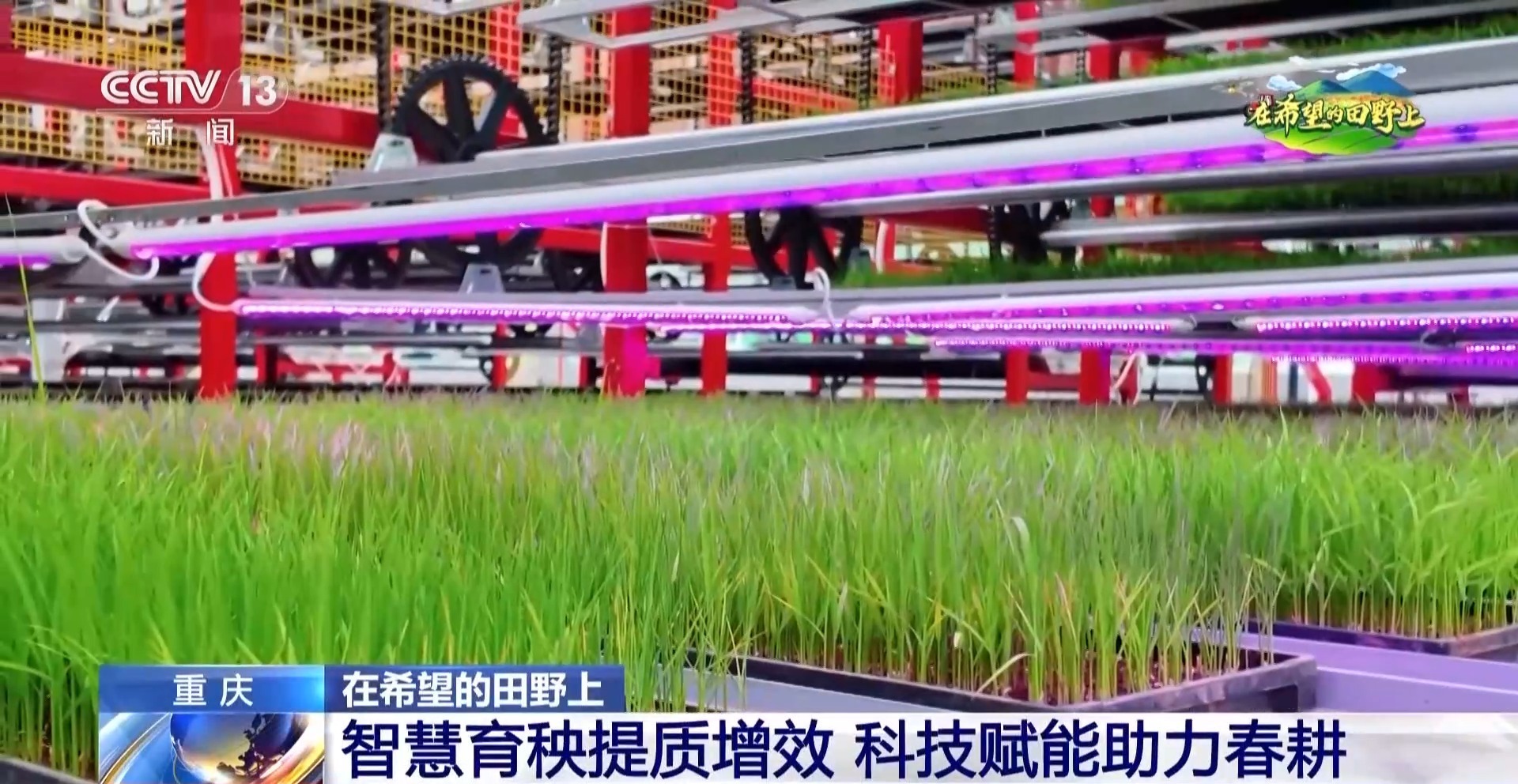 智能化育秧、无人机施肥、机器播种 “智慧春耕”正在进行中 智能化育秧、无人机施肥、机器播种 “智慧春耕”正在进行中