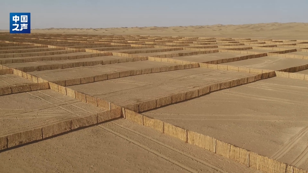 10万头猪让“沙漠变绿洲”？当地回应