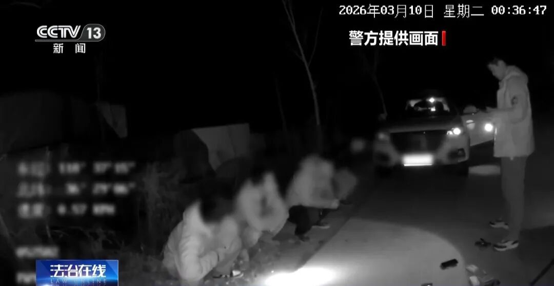 网上结识“专业盗墓团队” 跨省作案,山东潍坊警方打掉一职业盗墓团伙 网上结识“专业盗墓团队” 跨省作案,山东潍坊警方打掉一职业盗墓团伙