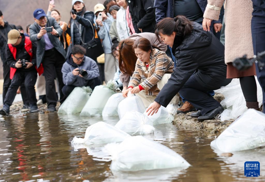 60万尾鱼苗放流图们江