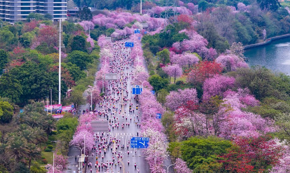 春日经济新图景｜跑出来的“春日经济”