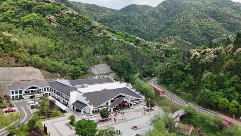 江西安远：三百山景区栲树花盛放 春日花海引客来