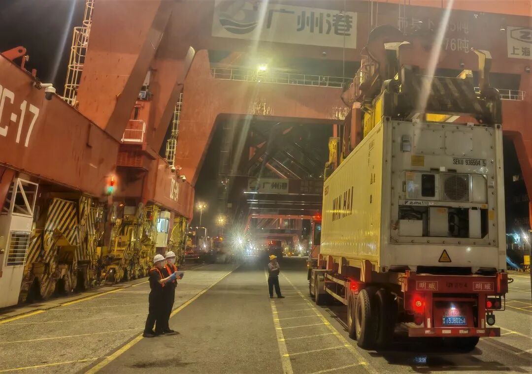 50吨海运新鲜榴莲，运抵广州！