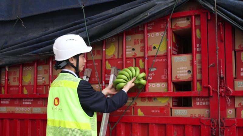 江西吉安：智能头盔“上岗” 绿通查验再提速